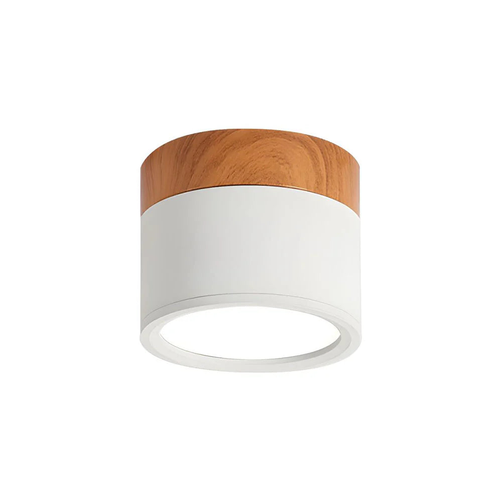 Allan - Moderne LED Spot van Hout en Gekleurd Metaal