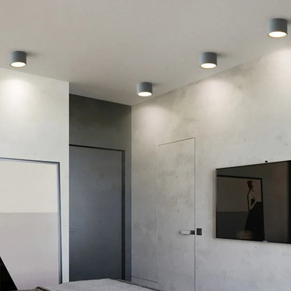 Lumeers - Rond LED Opbouwspot